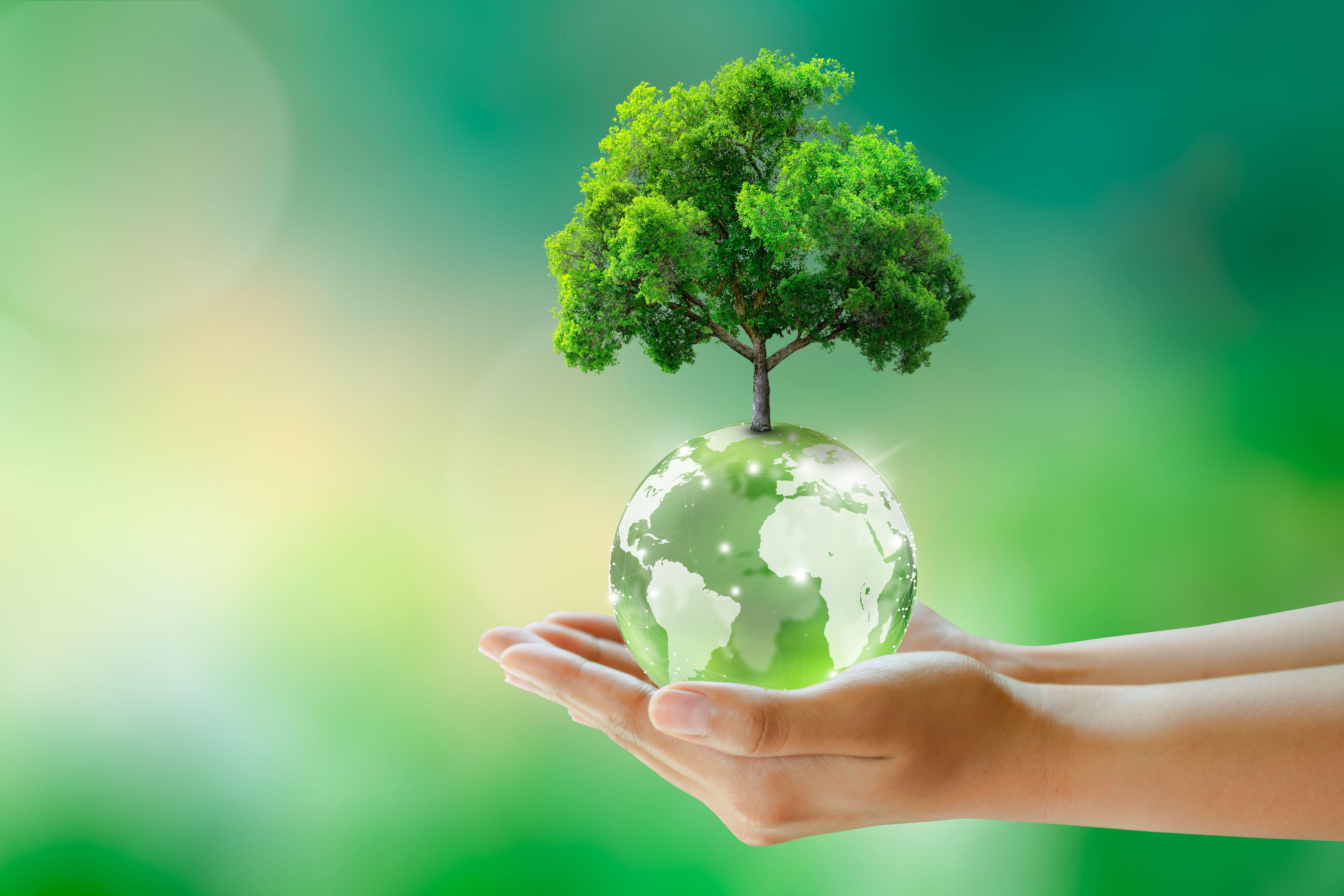 حلول مستدامة